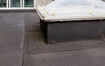 disadvantages of Cogges flat roofs